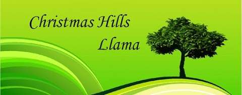 Photo: Christmas Hills Llama